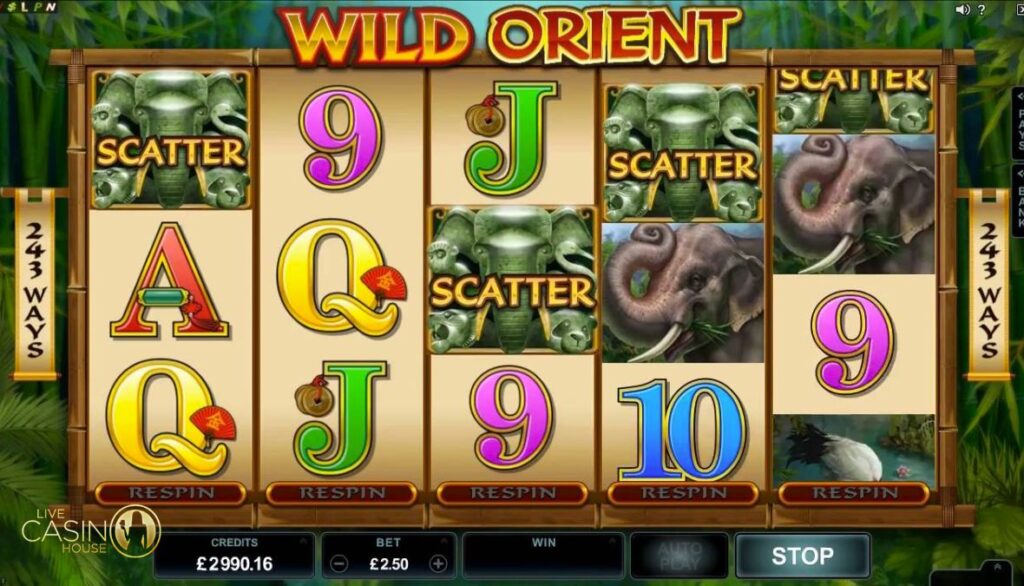 Tính năng Wild Orient